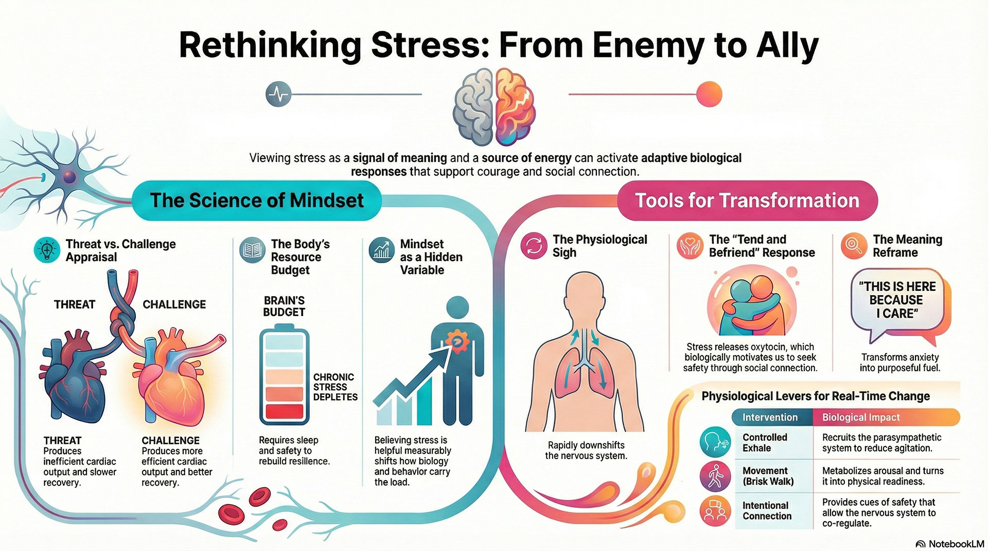 rethinking stress