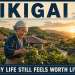 ikigai