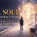 soul contract story
