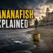 Banana Fish Explained